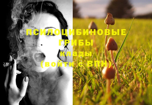 молекула духа Магадан