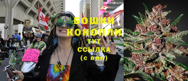 герыч Мегион