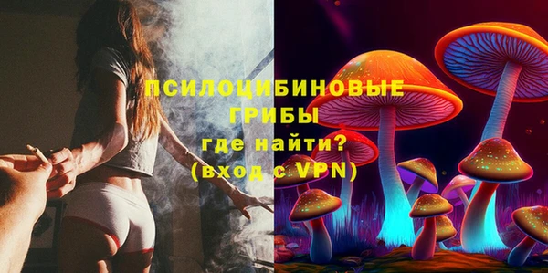 хмурый Майский
