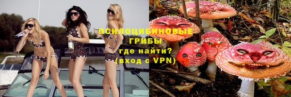 герыч Мегион