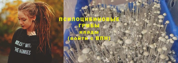 молекула духа Магадан